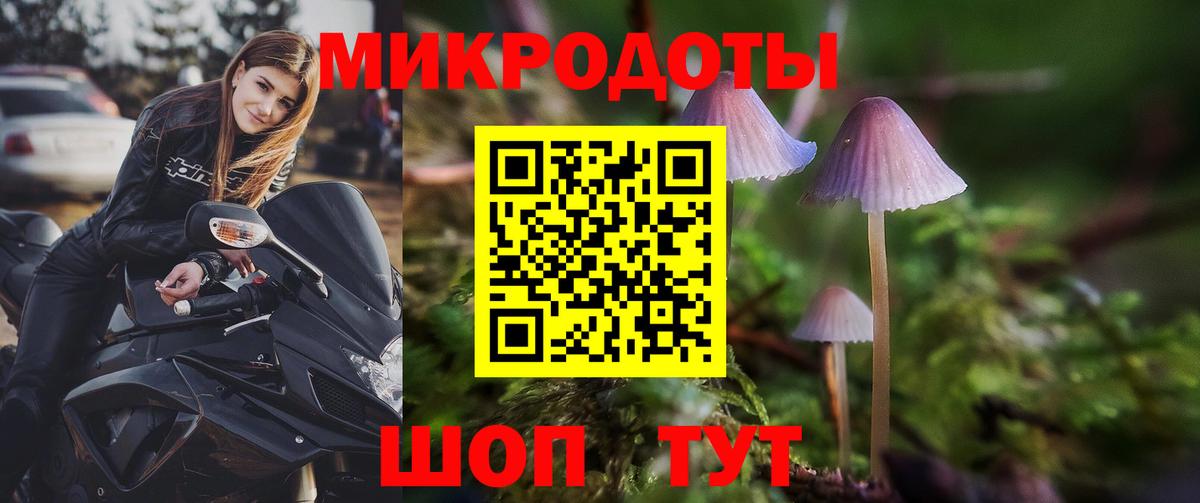 Волгодонск  Псилоцибиновые грибы мухоморы  Вход с VPN  Галлюциногенные грибы прущие грибы 